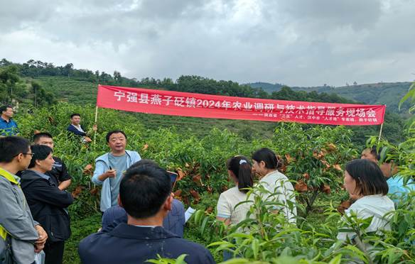 說明: 2e2384624ebe4beaf1e8f8229f2cd88